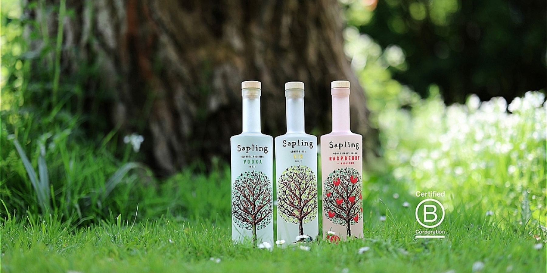 1瓶売れるごとに、木を１本植樹する。
サステナブルなお酒メーカー「Sapling」！
