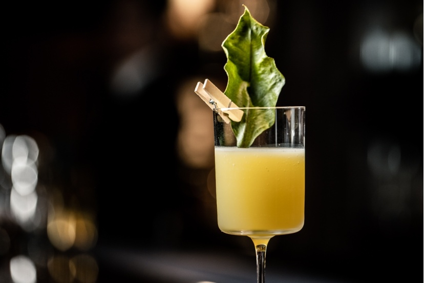 Lemon Hassaku Valencia レモンとハッサクのバレンシア Noma Shingo 野間真吾 Cocktails Drink Planet